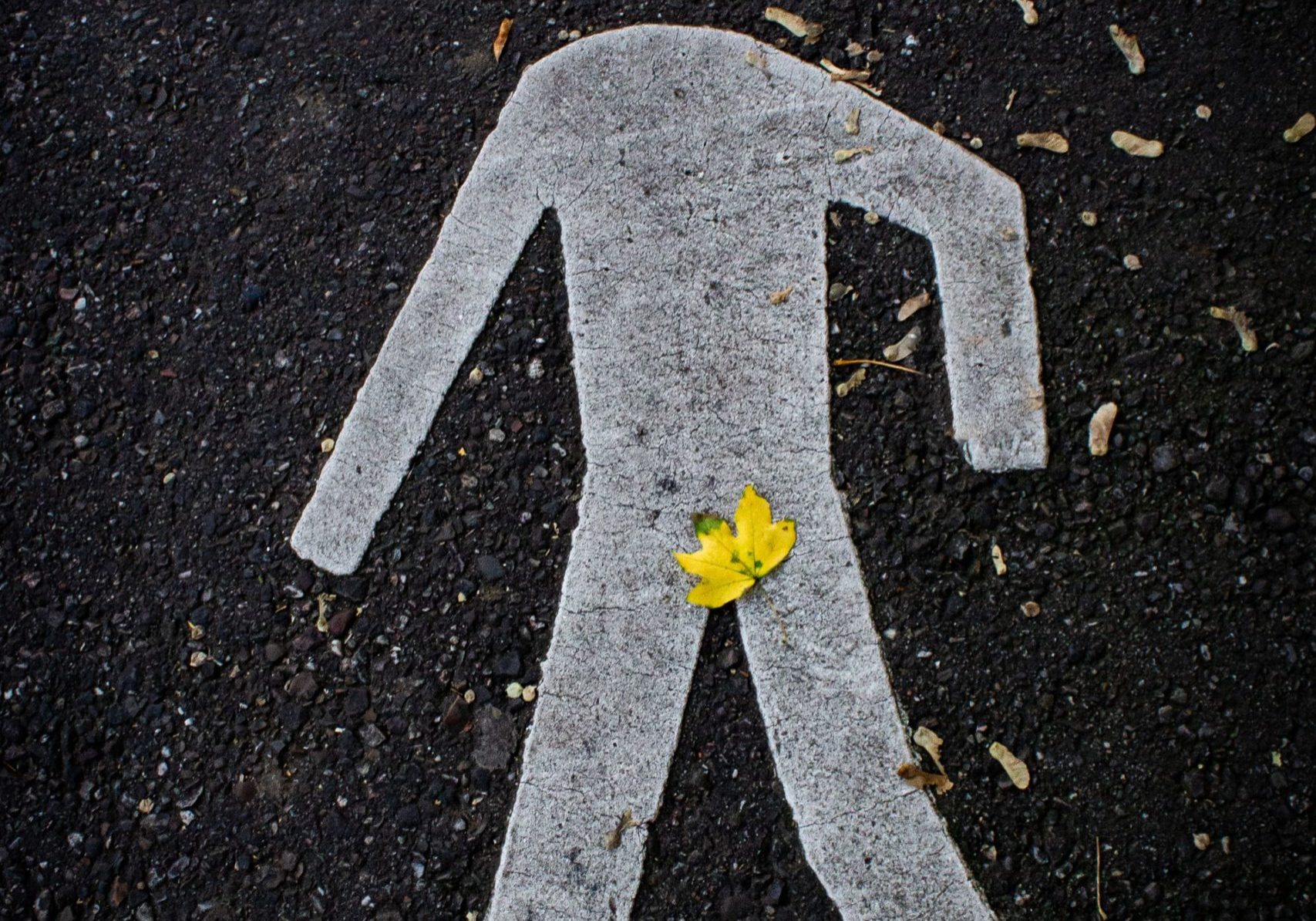 joel-de-vriend-_GnUJ-DZD4c-unsplash (1) joel-de-vriend-_GnUJ-DZD4c-unsplash (1)